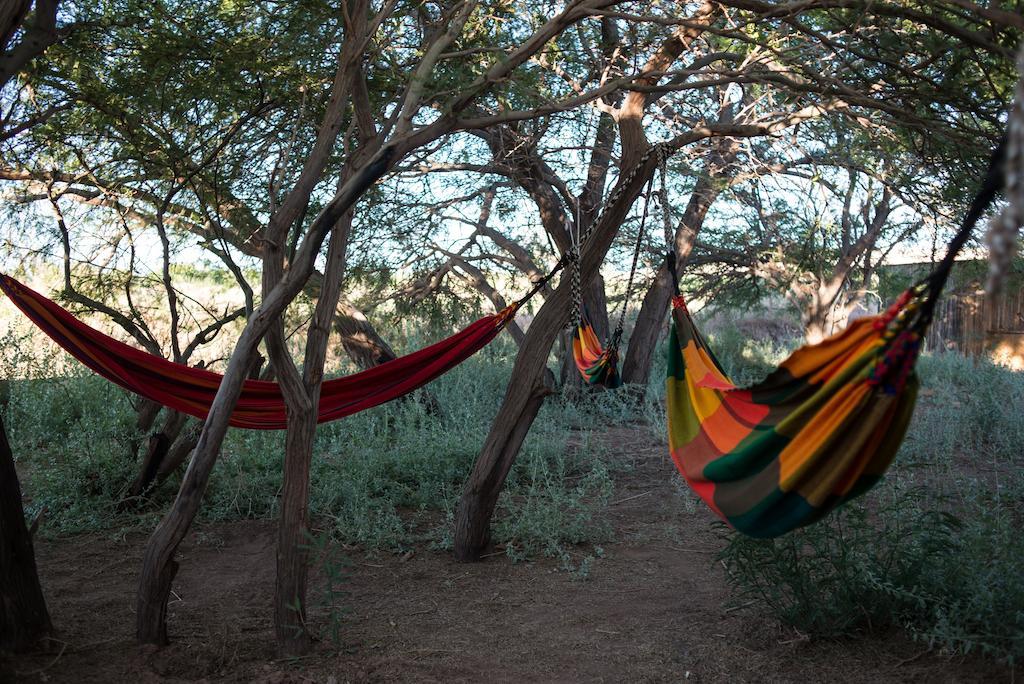 Planeta Atacama Lodge سان بيدرو دي أتاكاما المظهر الخارجي الصورة
